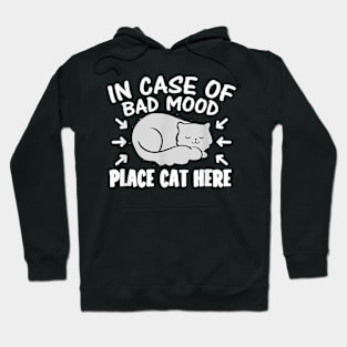 Funny Cat  Cute Kitty Retro Intage Cat Mom Cats Hoodie